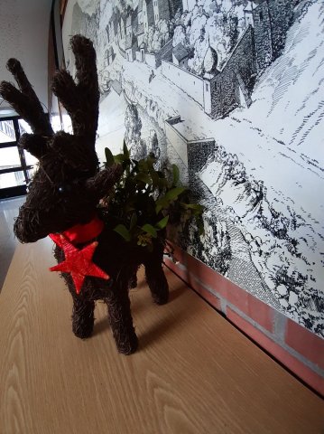 Misteln-Kekse-Kugeln